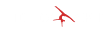 FlexArt Logo